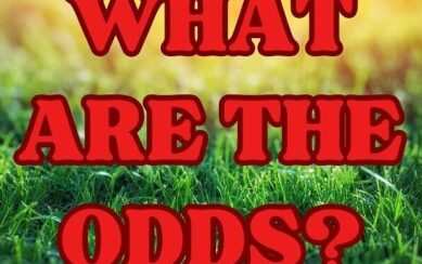 The poster for What Are The Odds?, a Skreen Dromard Drama Group production. The title of the show is in the centre in large red lettering against a grass background