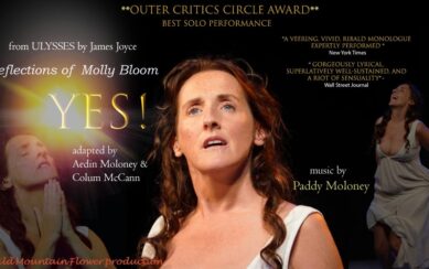 The poster for the performance "Yes! Reflections of Molly Bloom". At the center of the image is Aedín Moloney in character as Molly Bloom. She's surrounded by various quotes made about the show. 