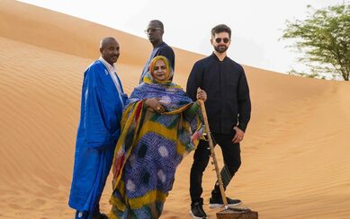 A group of four musicians in a vibrant patterned wrap, poses on a sprawling orange sand dune with a traditional stringed instrument.