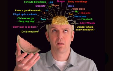 A humorous image of Ger Carey with the top of his head open, revealing spaghetti-like "brains" and various random, colorful thoughts labelled around it
