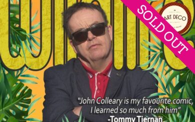 Wildlife Poster art deco sol out