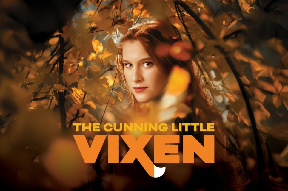 a portrait of a lady with ginger hair, framed by orange foliage a portrait of a lady with ginger hair, framed by orange foliage