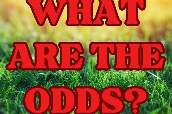 The poster for What Are The Odds?, a Skreen Dromard Drama Group production. The title of the show is in the centre in large red lettering against a grass background The poster for What Are The Odds?, a Skreen Dromard Drama Group production. The title of the show is in the centre in large red lettering against a grass background